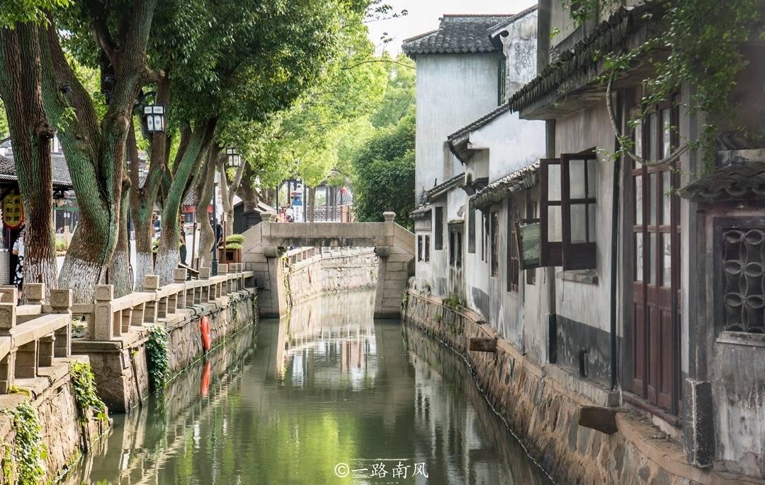小兔子大冒险