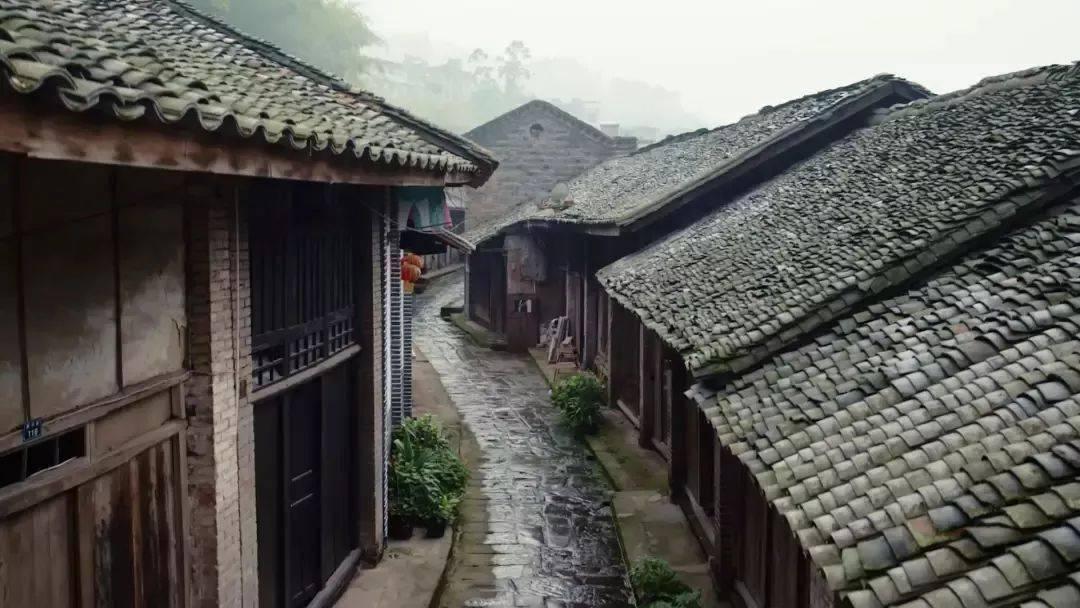 九期珍贵原始文物史料,见证浙江肿瘤防治发展